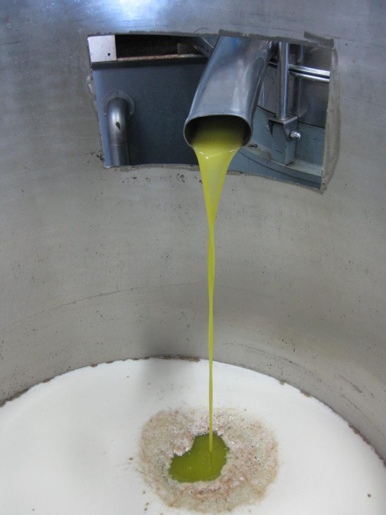 Olive-Oil_Pressing