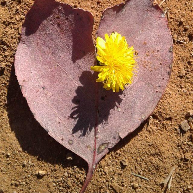 A little bit of love for the day loveislove