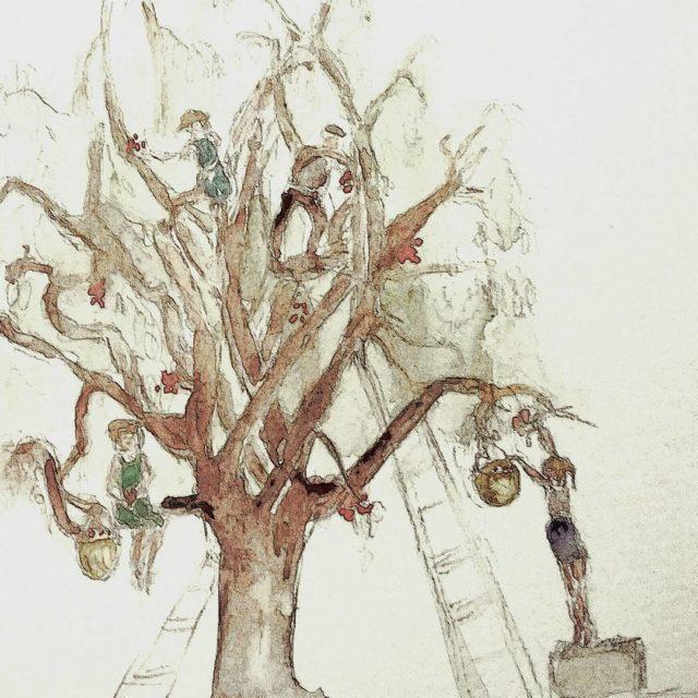 Reaching out for cherries all ages or nearly climbing inhellip