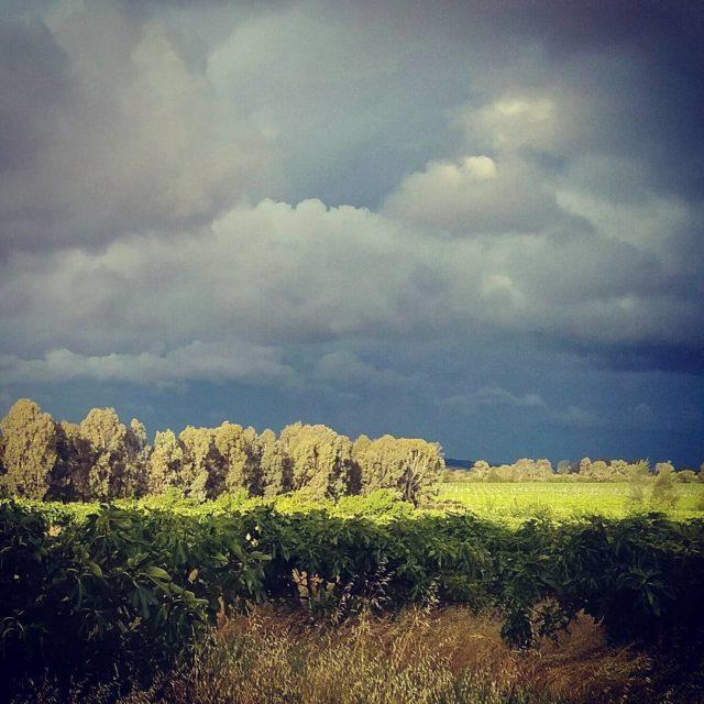 Storm lights on Rosnay More rain to come canowindra stormlighthellip