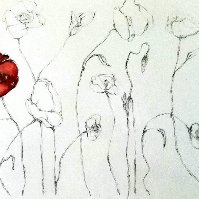 fragileflowers suffering from this february heat rosnay centralwest pencildrawing