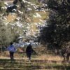 Farmstay - Image 8