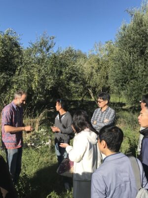 Winter Farm Walk and Taste - Sunday 12 July 2026