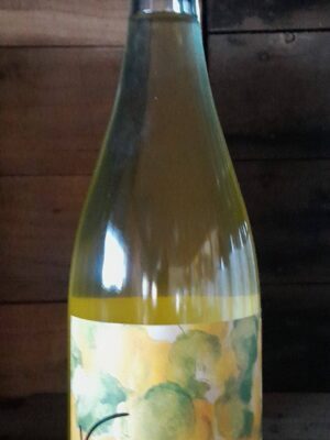 Vermentino-Chardonnay-Semillon | Organic | Perservative Free | Natural