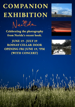 COMPANION-EXHIBITION-250